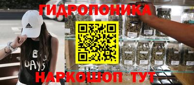 шишки Ликино-Дулёво