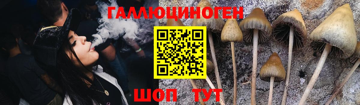 Галлюциногенные грибы GOLDEN TEACHER Пугачёв
